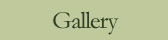 Real Estate Gallery