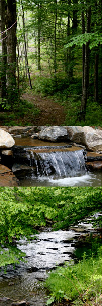blue ridge parkway